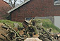 Erdbunker Spekendorf