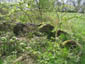 Bunker 1a, ehemaliges Munitionsdepot S&uuml;d, Bordumer Busch West